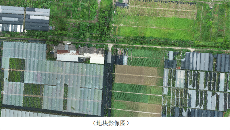 新闻稿2 (5).jpg